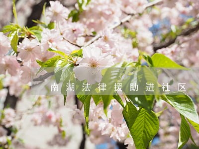南湖法律援助进社区 南湖法律援助进社区