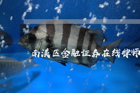 南溪区金融证券在线律师咨询 南溪区金融证券在线律师咨询