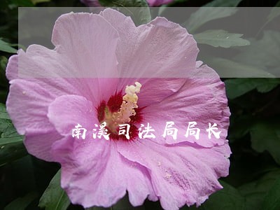 南溪司法局局长 南溪司法局局长