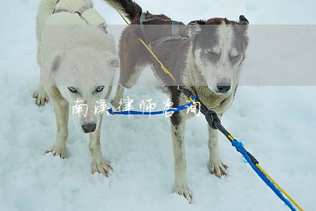 南溪律师咨询 南溪律师咨询