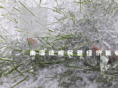 南溪法院民营经济新闻发布会 南溪法院民营经济新闻发布会