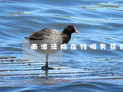 南漳法院在线服务系统