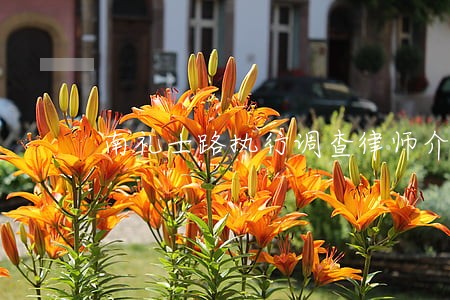 南礼士路执行调查律师介绍 南礼士路执行调查律师介绍