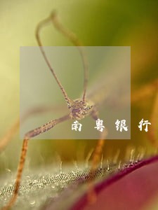 南粤银行贷款逾期三个月 南粤银行贷款逾期三个月
