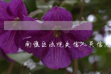 南谯区法院失信人员信息 南谯区法院失信人员信息