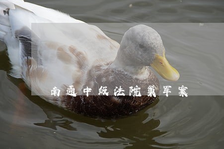 南通中级法院巢军案 南通中级法院巢军案