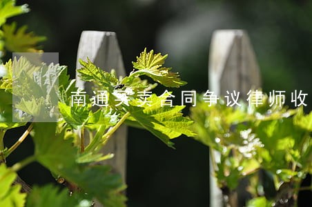 南通买卖合同争议律师收费标准 南通买卖合同争议律师收费标准