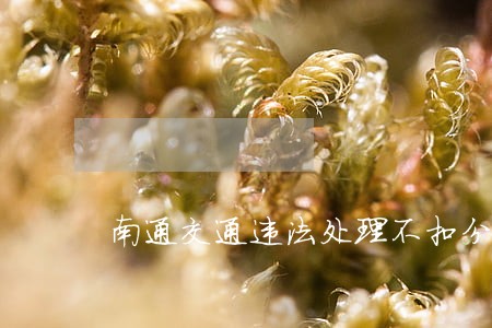 南通交通违法处理不扣分