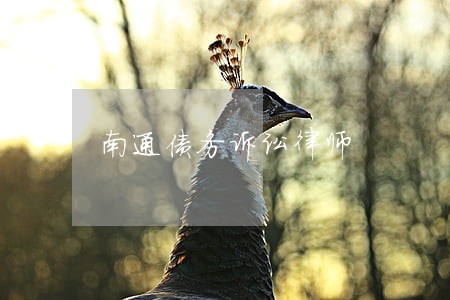 南通债务诉讼律师 南通债务诉讼律师