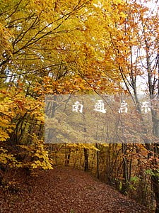 南通启东法律咨询 南通启东法律咨询