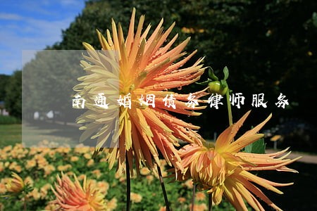 南通婚姻债务律师服务 南通婚姻债务律师服务