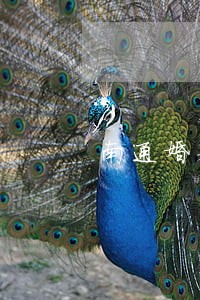 南通婚姻律师事务所 南通婚姻律师事务所