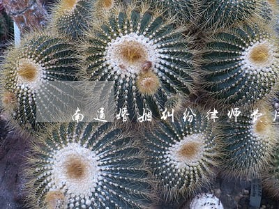 南通婚姻纠纷律师费用 南通婚姻纠纷律师费用