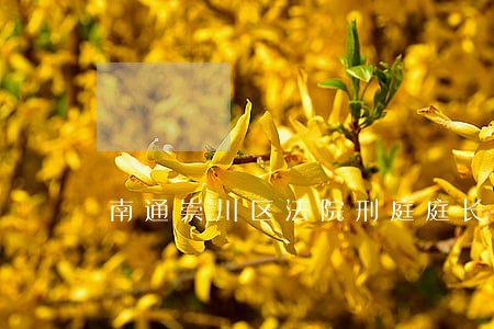 南通崇川区法院刑庭庭长