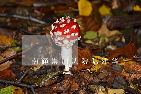 南通崇川法院陆建华