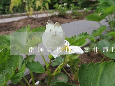 南通市代理刑案律师找谁好 南通市代理刑案律师找谁好