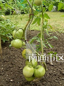 南通市区存量违法 南通市区存量违法