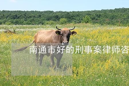 南通市好的刑事案律师咨询网站 南通市好的刑事案律师咨询网站