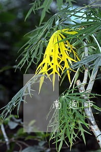 南通市局党组书记张武林 南通市局党组书记张武林