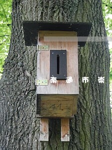 南通市崇川区法院张慧 南通市崇川区法院张慧