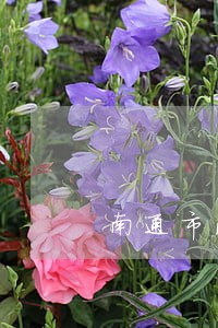 南通市法律援助 南通市法律援助