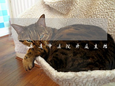 南通市法院开庭直播