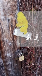 南通市法院执行局张勇 南通市法院执行局张勇