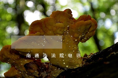 南通市法院电话 南通市法院电话