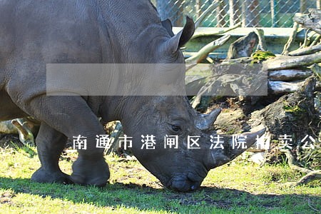 南通市港闸区法院拍卖公告