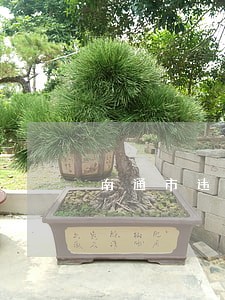 南通市违法施工