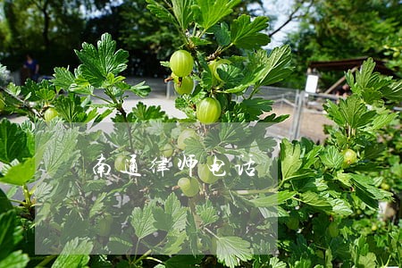 南通律师电话