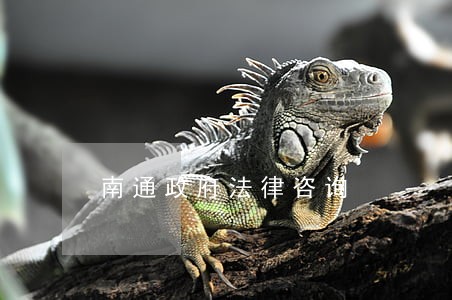 南通政府法律咨询
