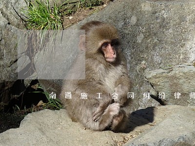 南通施工合同纠纷律师 南通施工合同纠纷律师