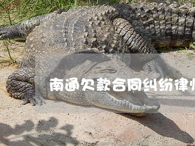 南通欠款合同纠纷律师 南通欠款合同纠纷律师
