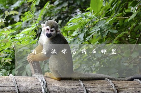 南通法律咨询在哪里 南通法律咨询在哪里