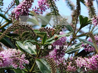 南通法律援助中心 南通法律援助中心
