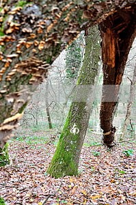 南通法院开通破产管理人系统 南通法院开通破产管理人系统