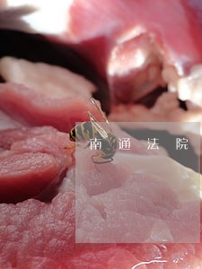 南通法院执行中心
