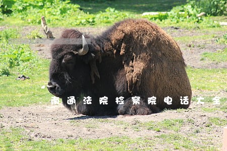 南通法院检察院电话大全 南通法院检察院电话大全