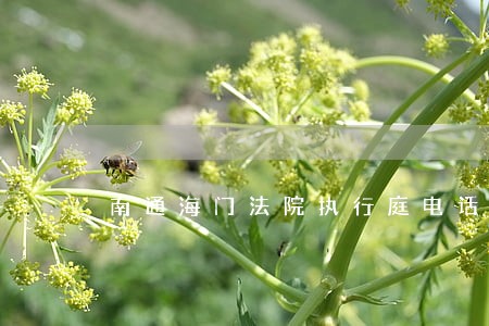 南通海门法院执行庭电话