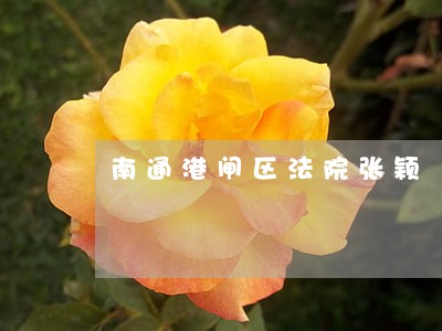 南通港闸区法院张颖 南通港闸区法院张颖