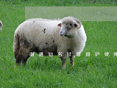 南通知名轻罪辩护律师法律咨询 南通知名轻罪辩护律师法律咨询