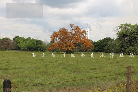 南通祟川区免费法律援助中心 南通祟川区免费法律援助中心