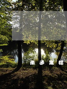 南通离婚女律师收费 南通离婚女律师收费