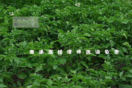南通离婚律师咨询免费 南通离婚律师咨询免费