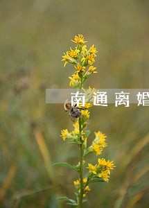 南通离婚律师需要多少钱 南通离婚律师需要多少钱