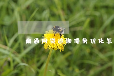 南通网贷逾期债务优化怎么收费