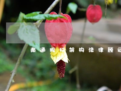 南通股权架构法律顾问 南通股权架构法律顾问