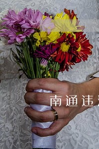 南通违法查询系统
