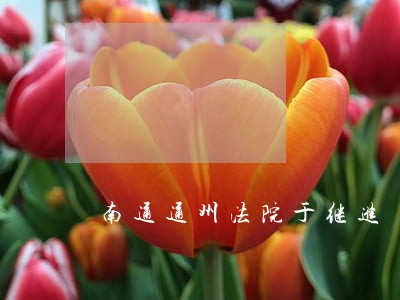 南通通州法院于继进